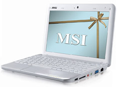 Das MSI Wind U100 ist ein echter Kauftipp unter den Netbooks. Foto: MSI